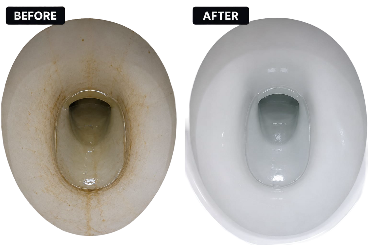 EveryDayNeeds™ PureSweep Disposable Toilet Brush