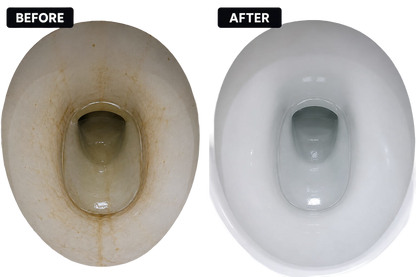 EveryDayNeeds™ PureSweep Disposable Toilet Brush